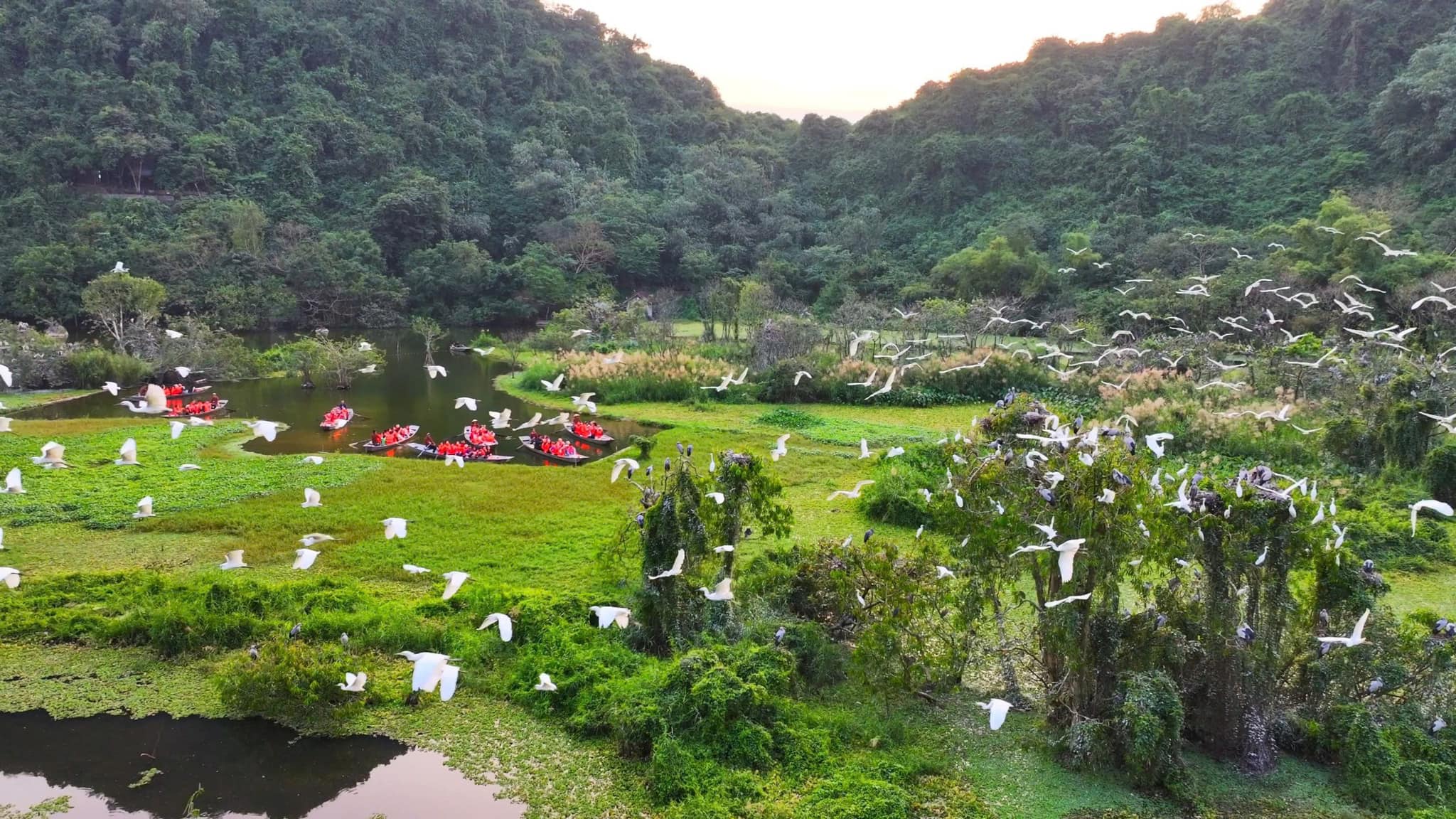 Ninh Binh Bird Sanctuary